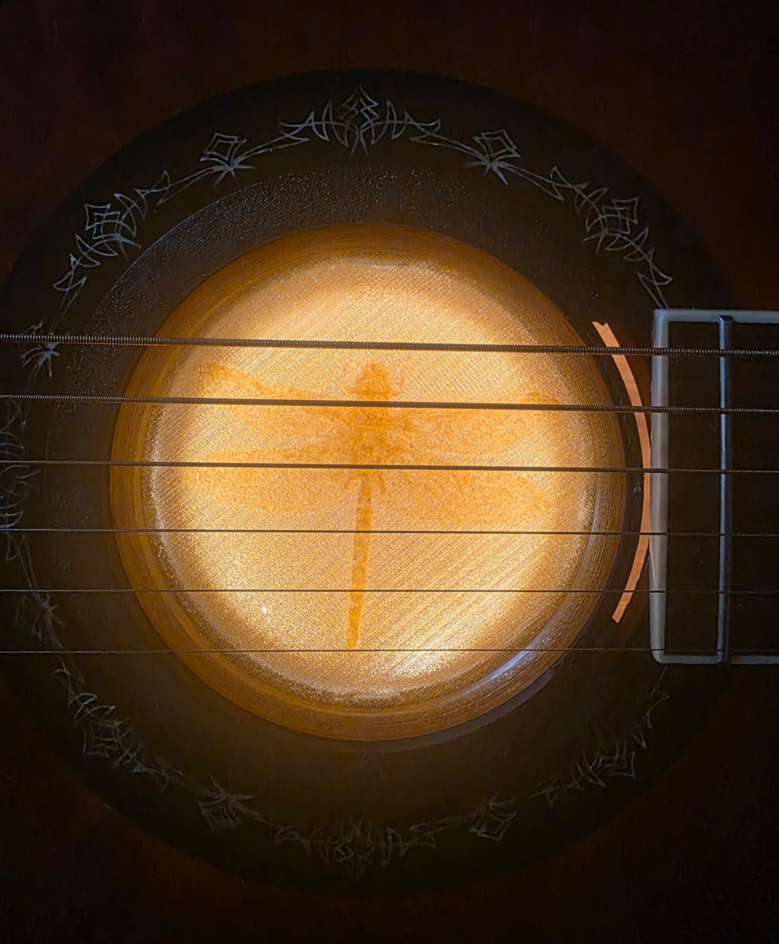 Dragonfly,  Amber lit