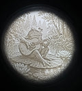 Frog and guitar