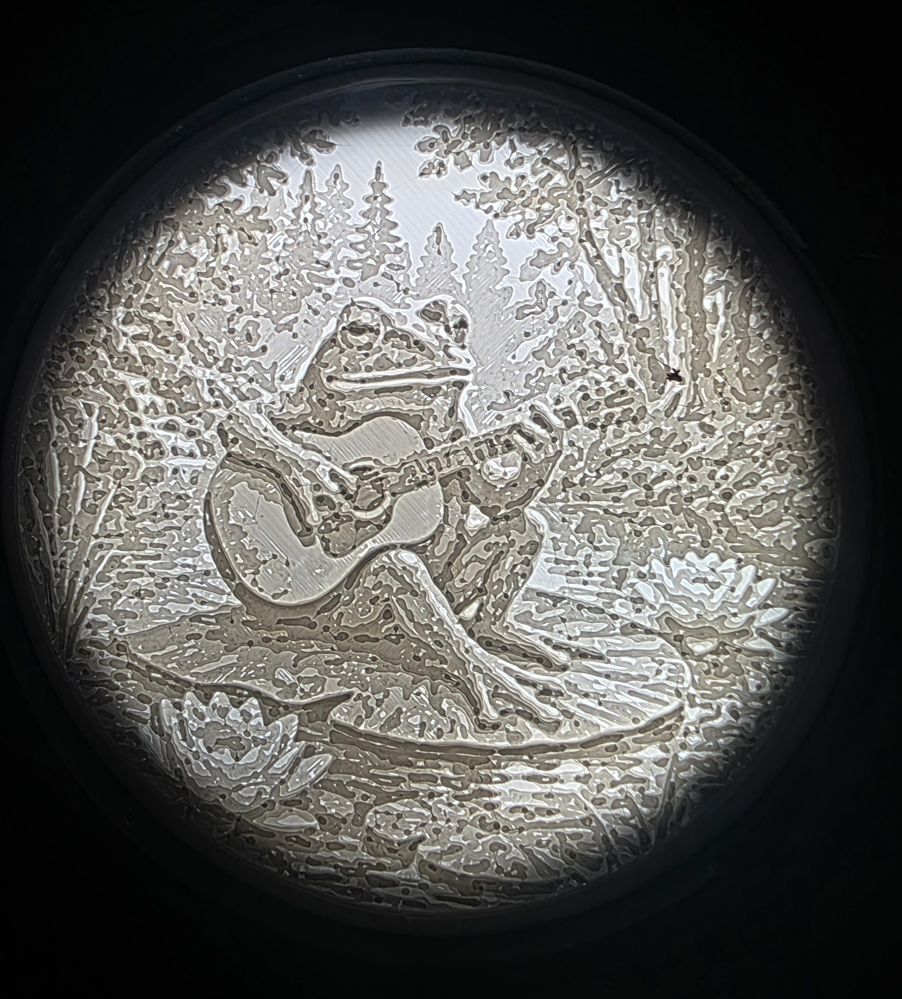 Frog and guitar