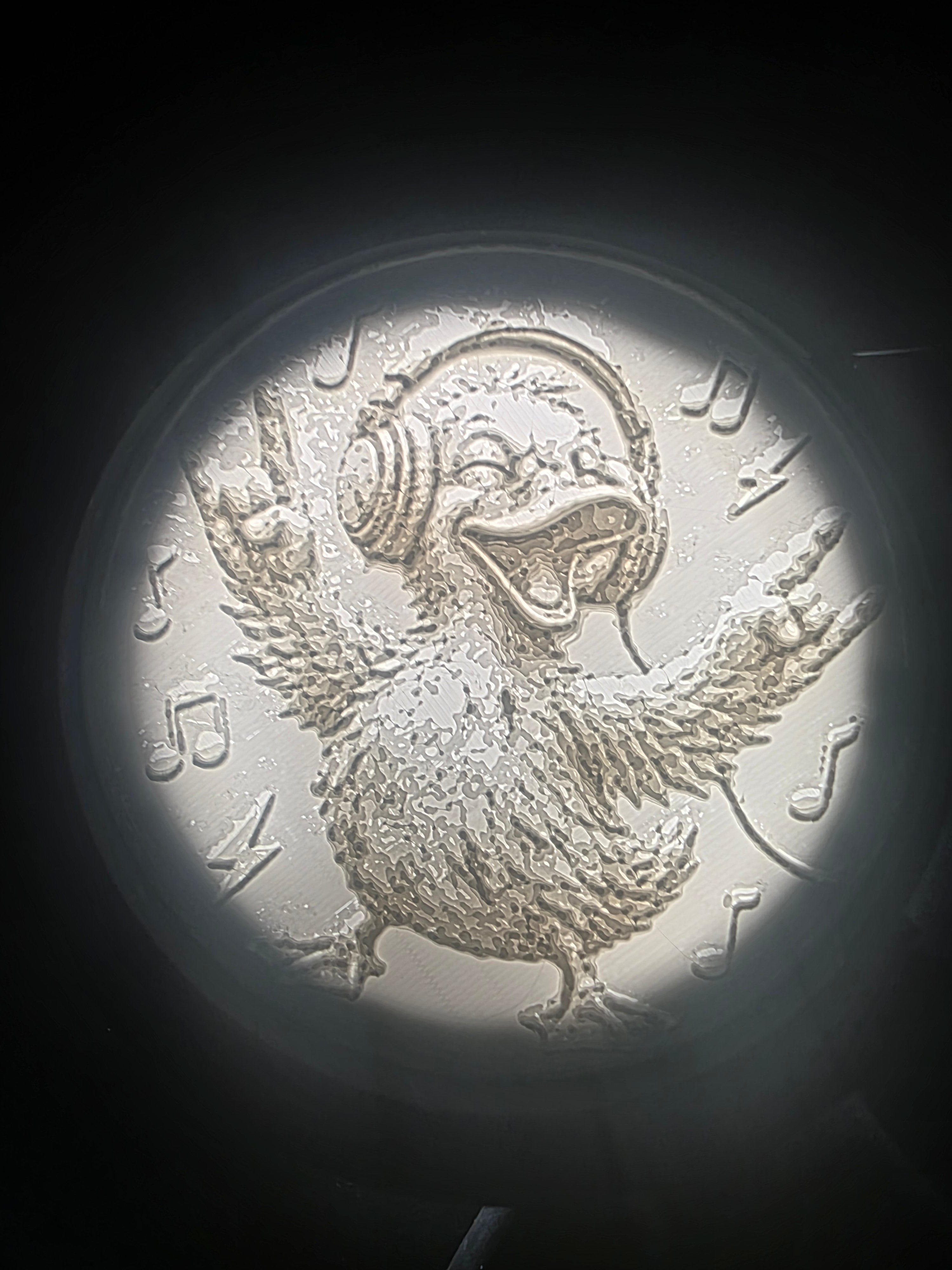 Crazy Rockin' Duck